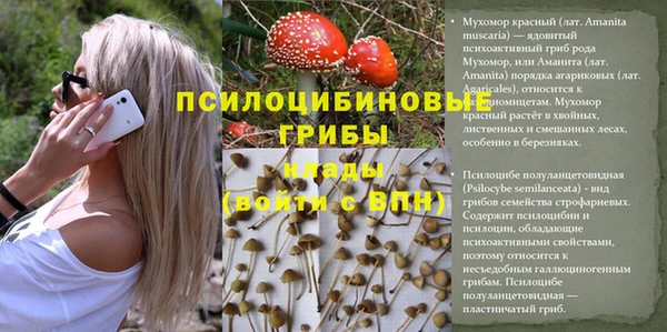 гидра Сатка