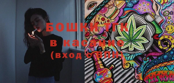 гидропоника Алзамай