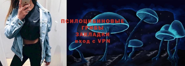 прущий лед Алексин