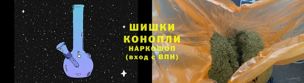 гидропоника Алзамай