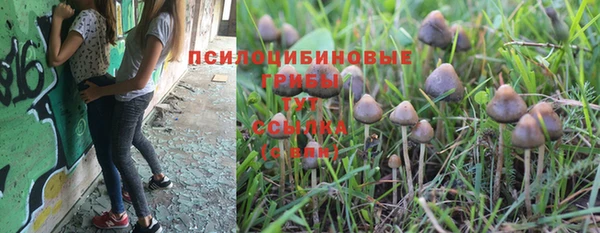 прущие крисы Алексеевка